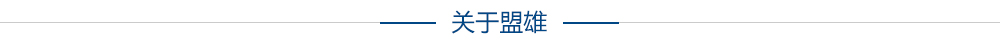 關(guān)于盟雄